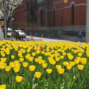 Meet your Posher, Don